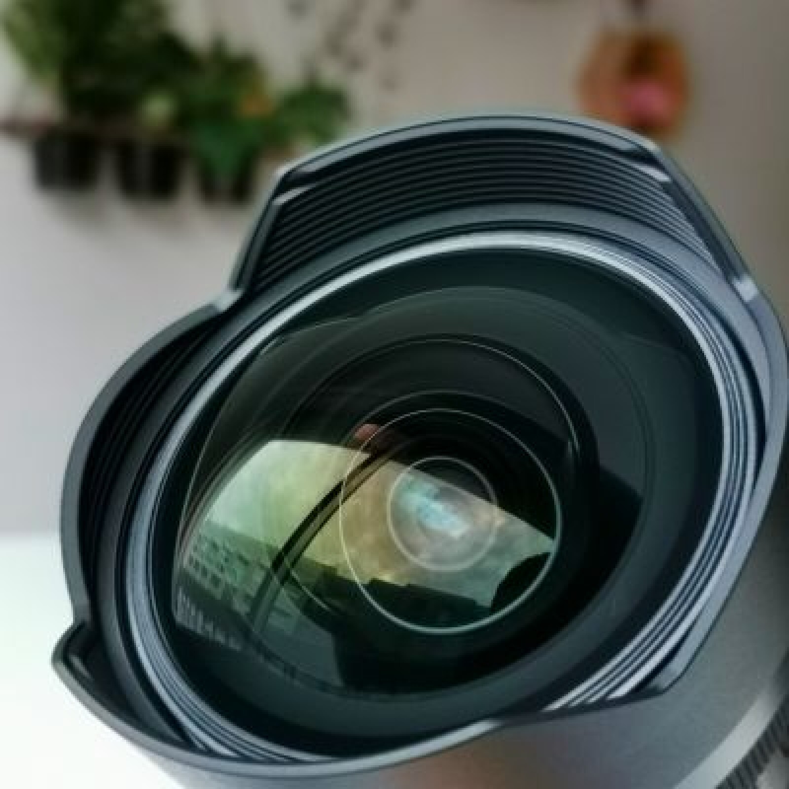 Objectif 12-24 mm f/2.8 G Master Grand Angle Photo Sony - Photo 1 sur 3