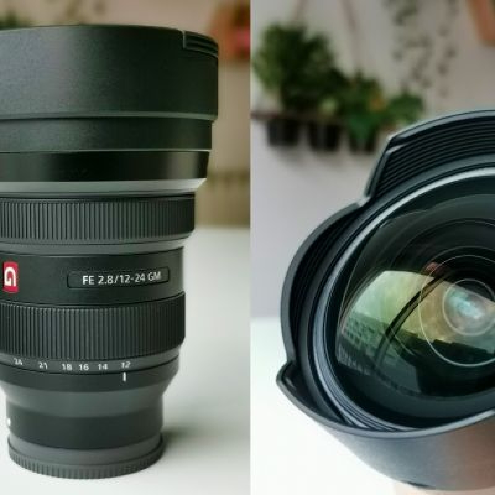 Objectif 12-24 mm f/2.8 G Master Grand Angle Photo Sony - Photo 2 sur 3