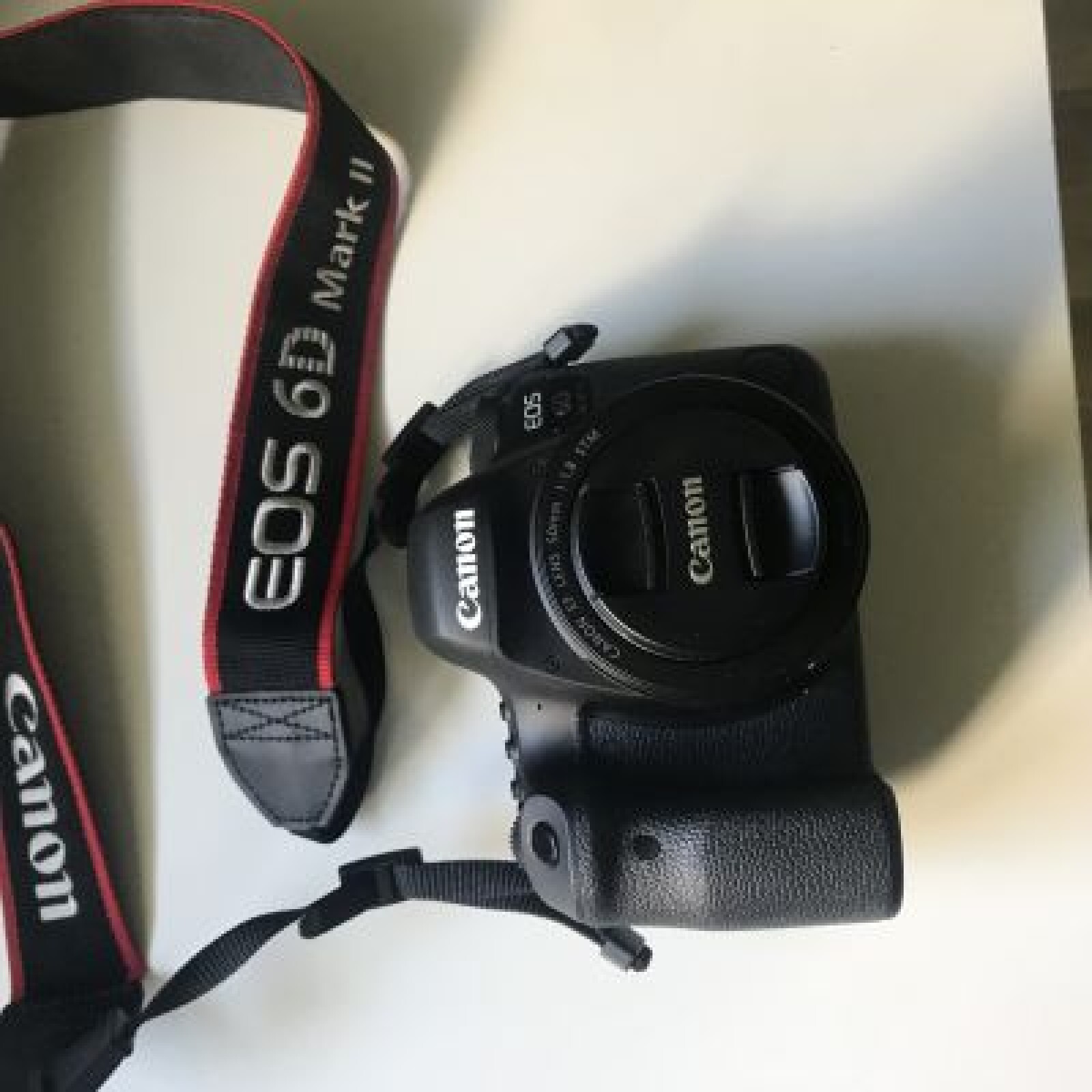 Canon 6D Mark II - Photo 1 sur 3