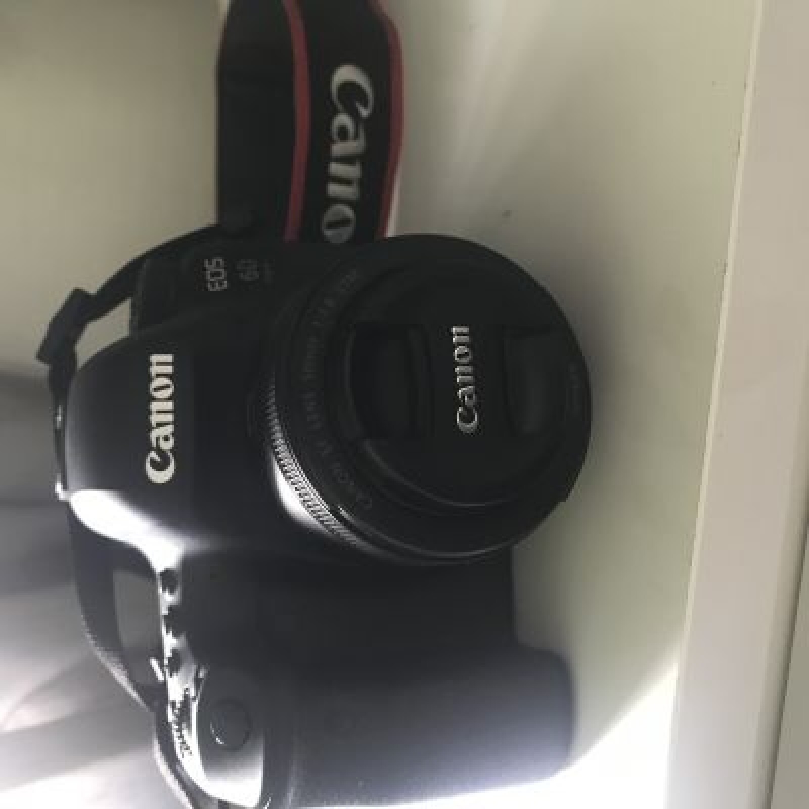 Canon 6D Mark II - Photo 2 sur 3
