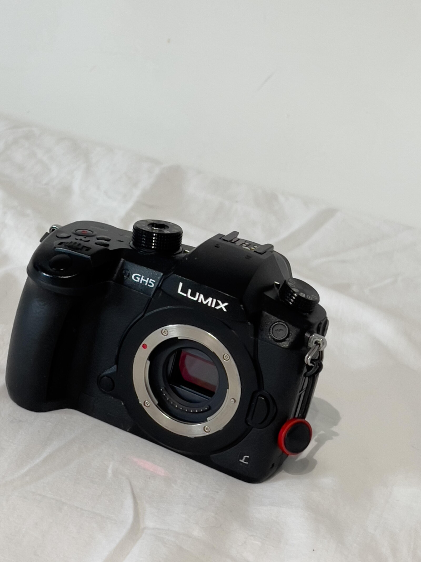 Panasonic GH5 Nu avec V-log - Photo 1 sur 3