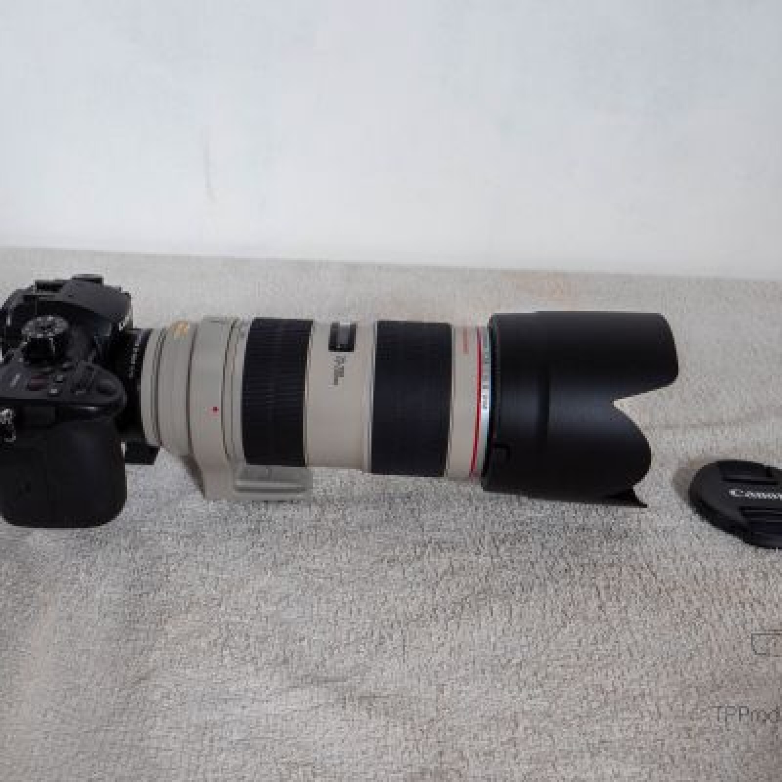 Canon EF 70-200mm f/2.8L IS II USM - Photo 3 sur 3