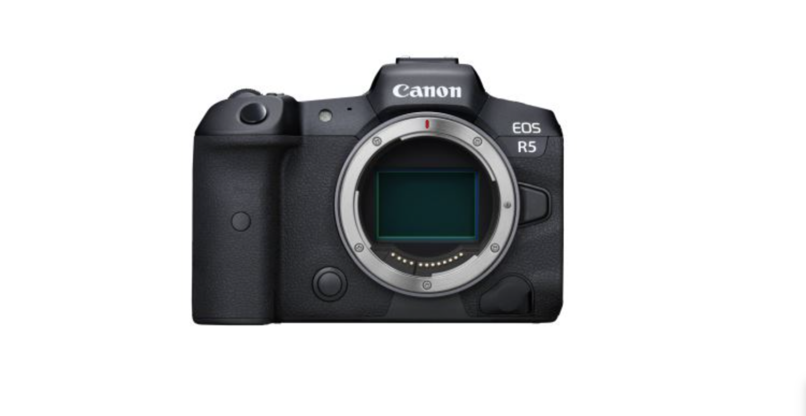 Canon EOS R5 - Photo 1 sur 1