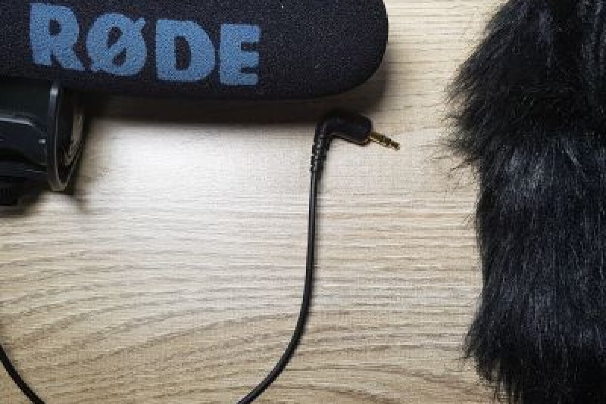 Location Microphone RODE VIDEO MIC PRO + BONNET - Lightyshare