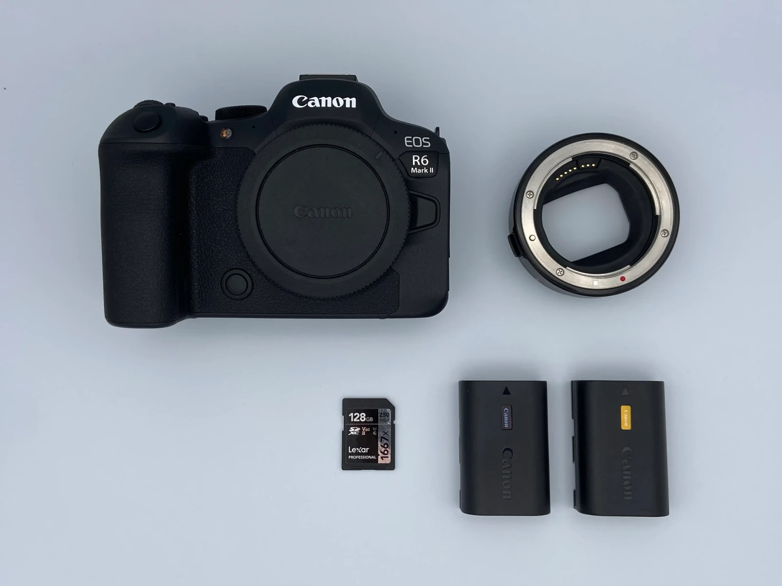 Canon R6 Mark II - Photo 2 sur 4