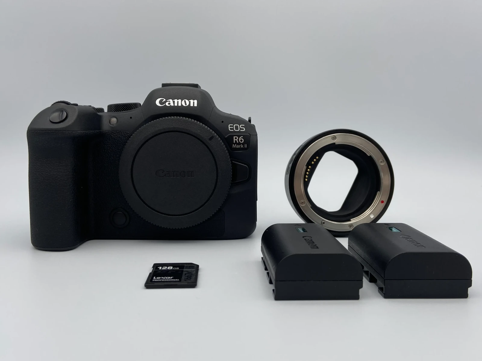 Canon R6 Mark II - Photo 1 sur 4