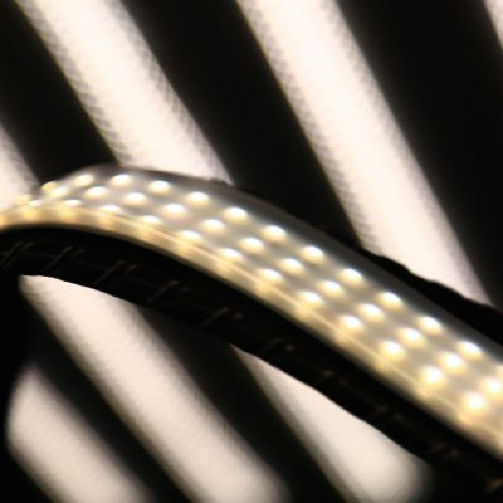 LED Boa Flex 120cm  de RubyLight - Photo 1 sur 3