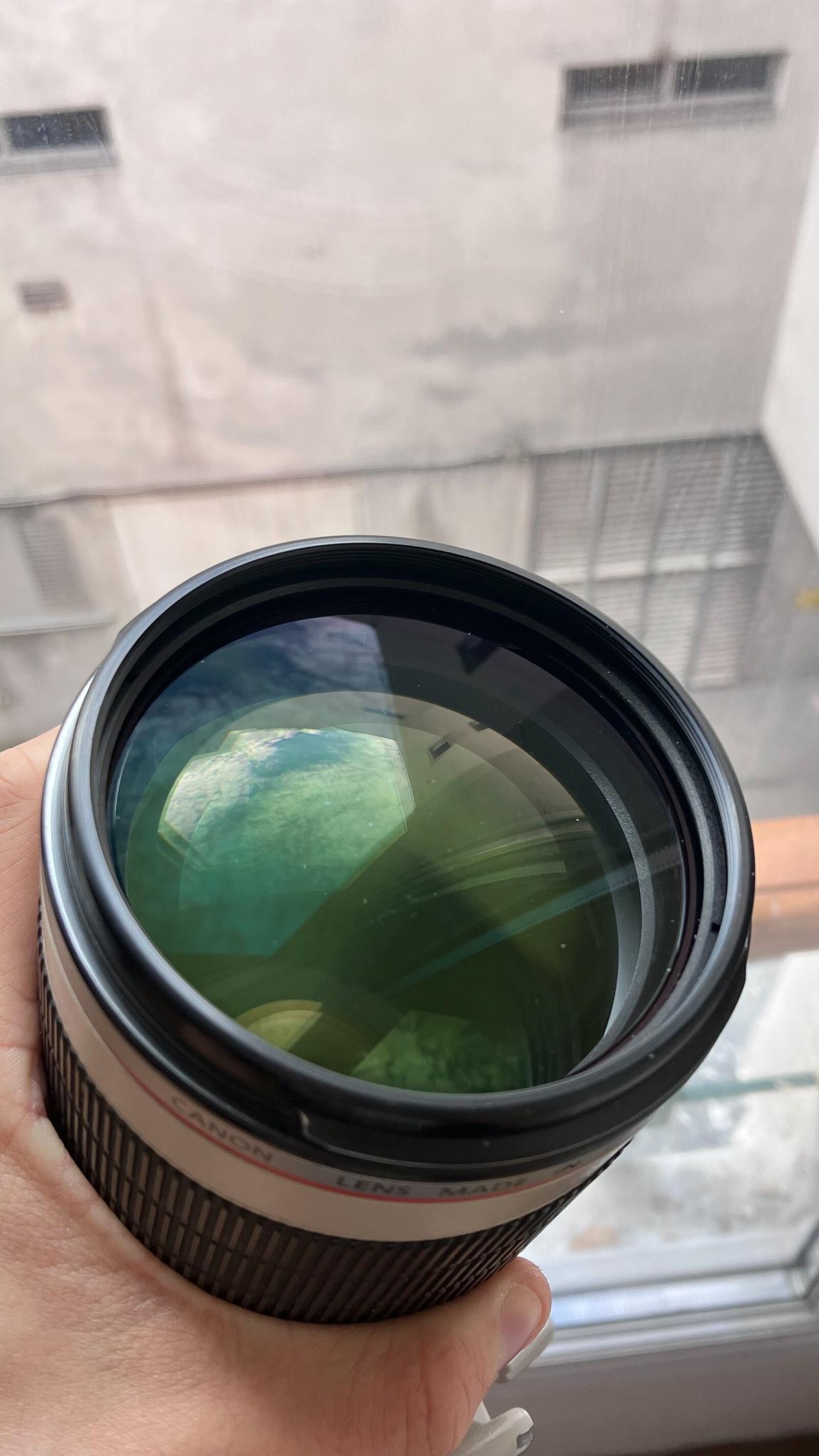 Canon EF 70-200mm f/2.8L IS II USM - Photo 4 sur 5