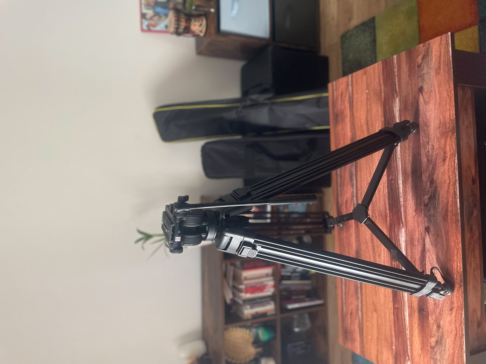 Pack tournage complet, 4 objectifs au choix - Photo 8 sur 9