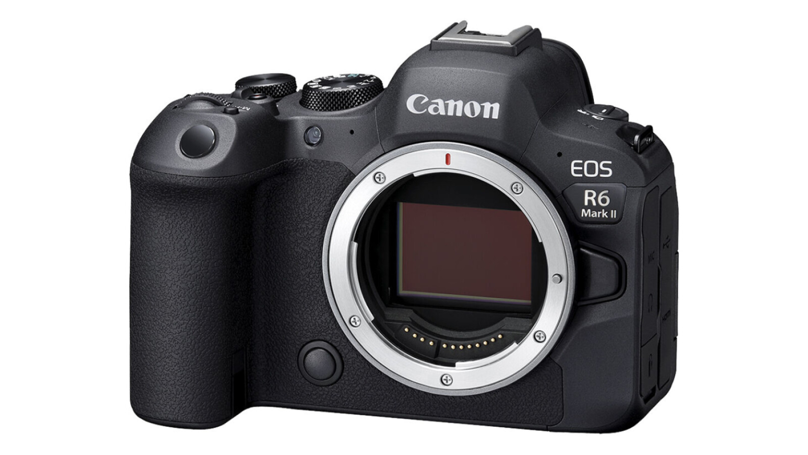 Canon R6 Mark II - Photo 1 sur 1