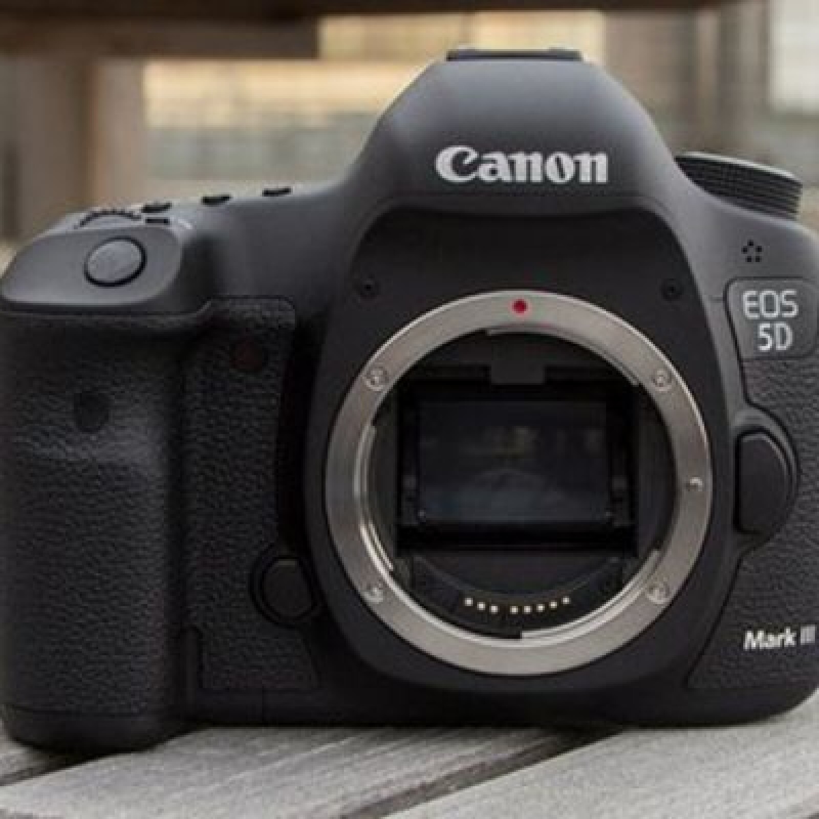 Canon 5D MARK III - Photo 1 sur 1
