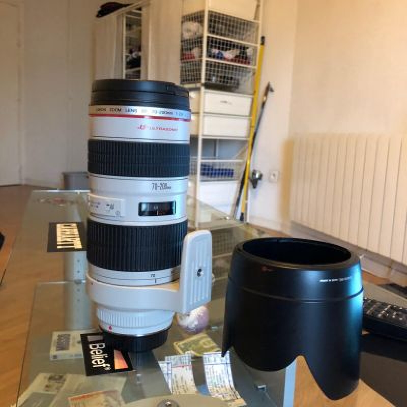 objectif canon 70-200 f 2.8 - Photo 1 sur 2
