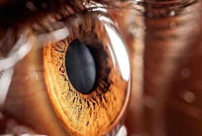Location Location Objectif canon 100 mm f:2,8 macro bordeaux - Bassens