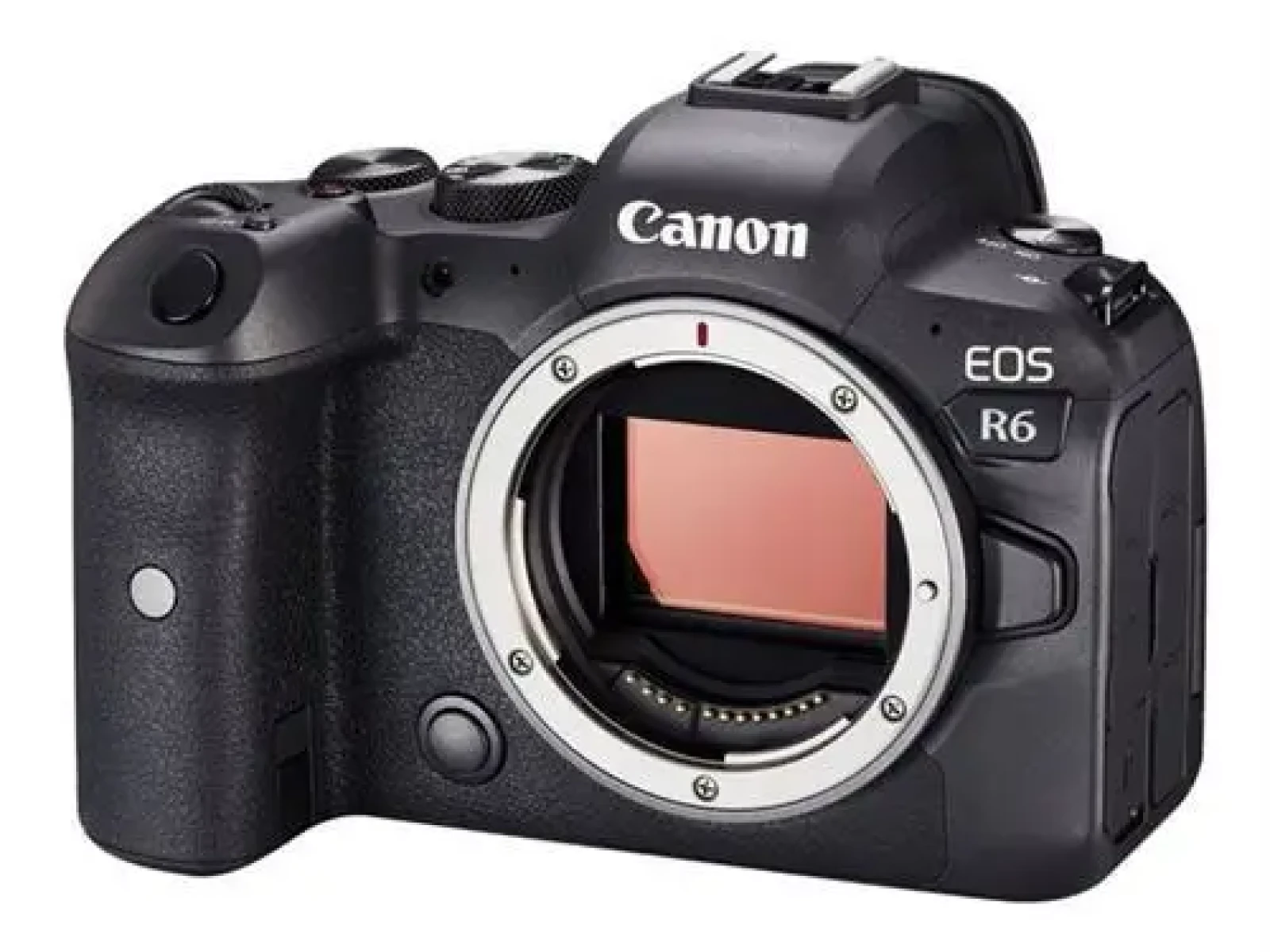 Canon R6 - Photo 1 sur 4