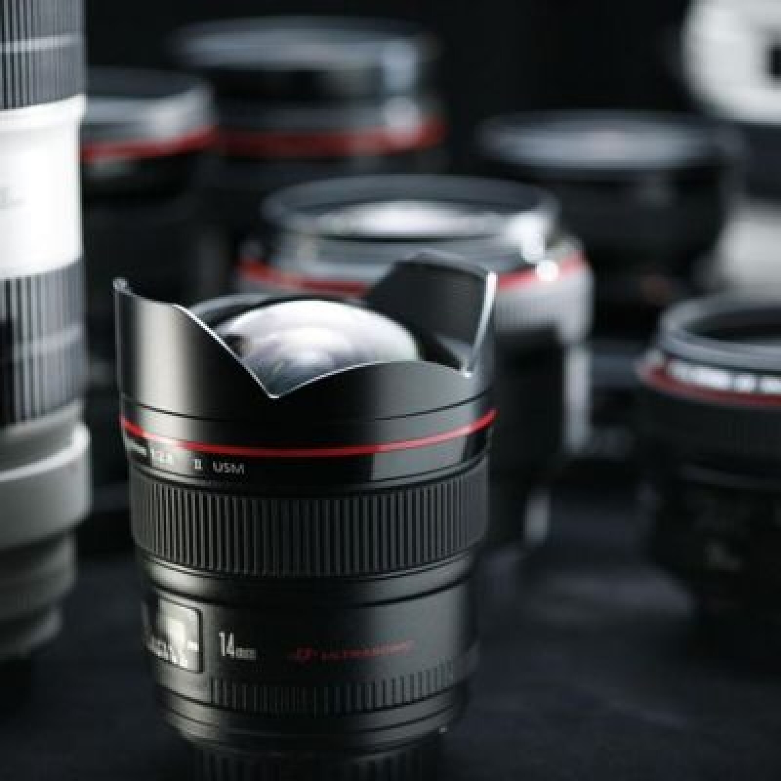 Location objectif Canon 70 200 mm f:2,8 - Photo 2 sur 4
