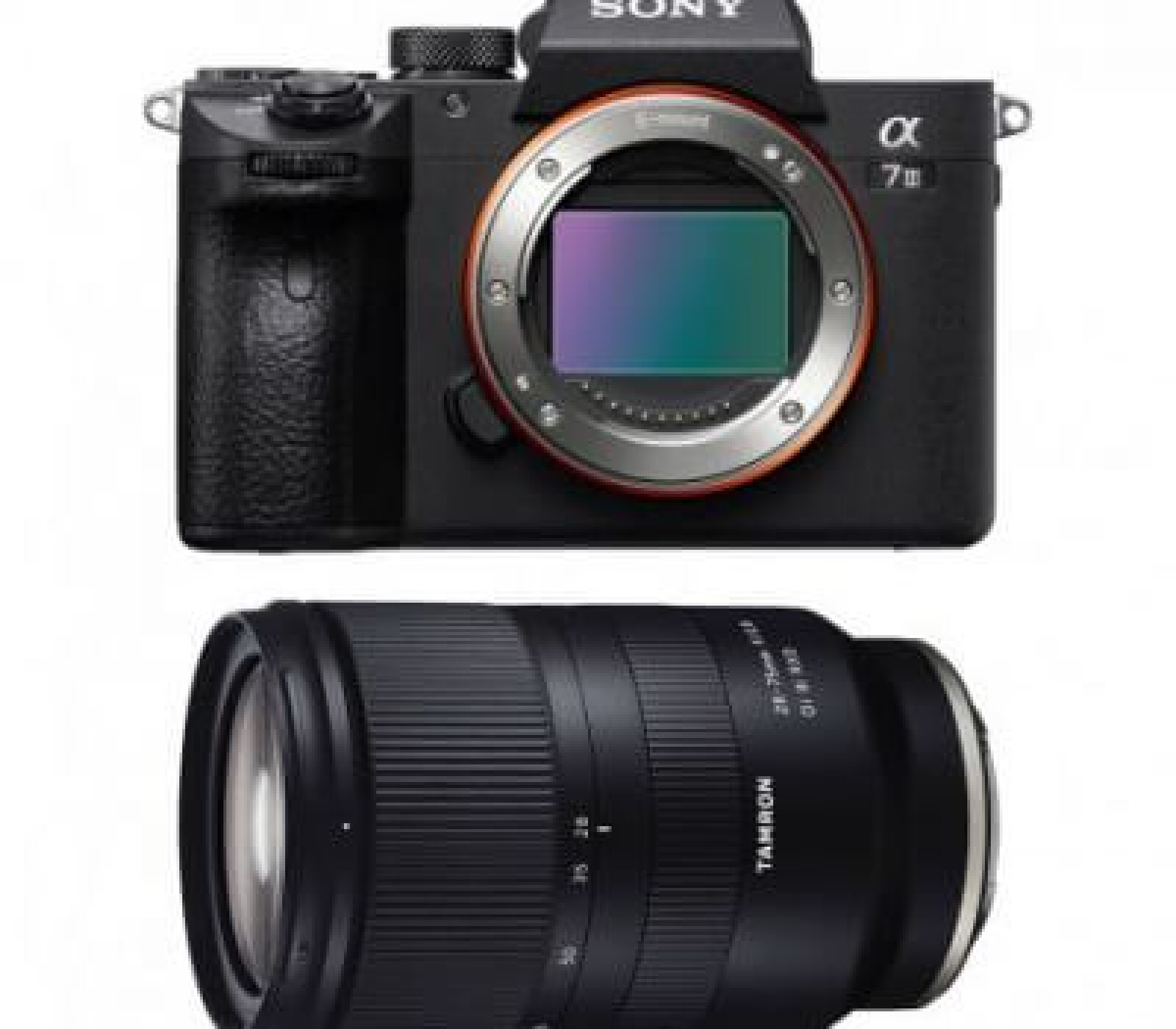SONY A7III + TAMRON 28-75 F2,8 - Photo 1 sur 1