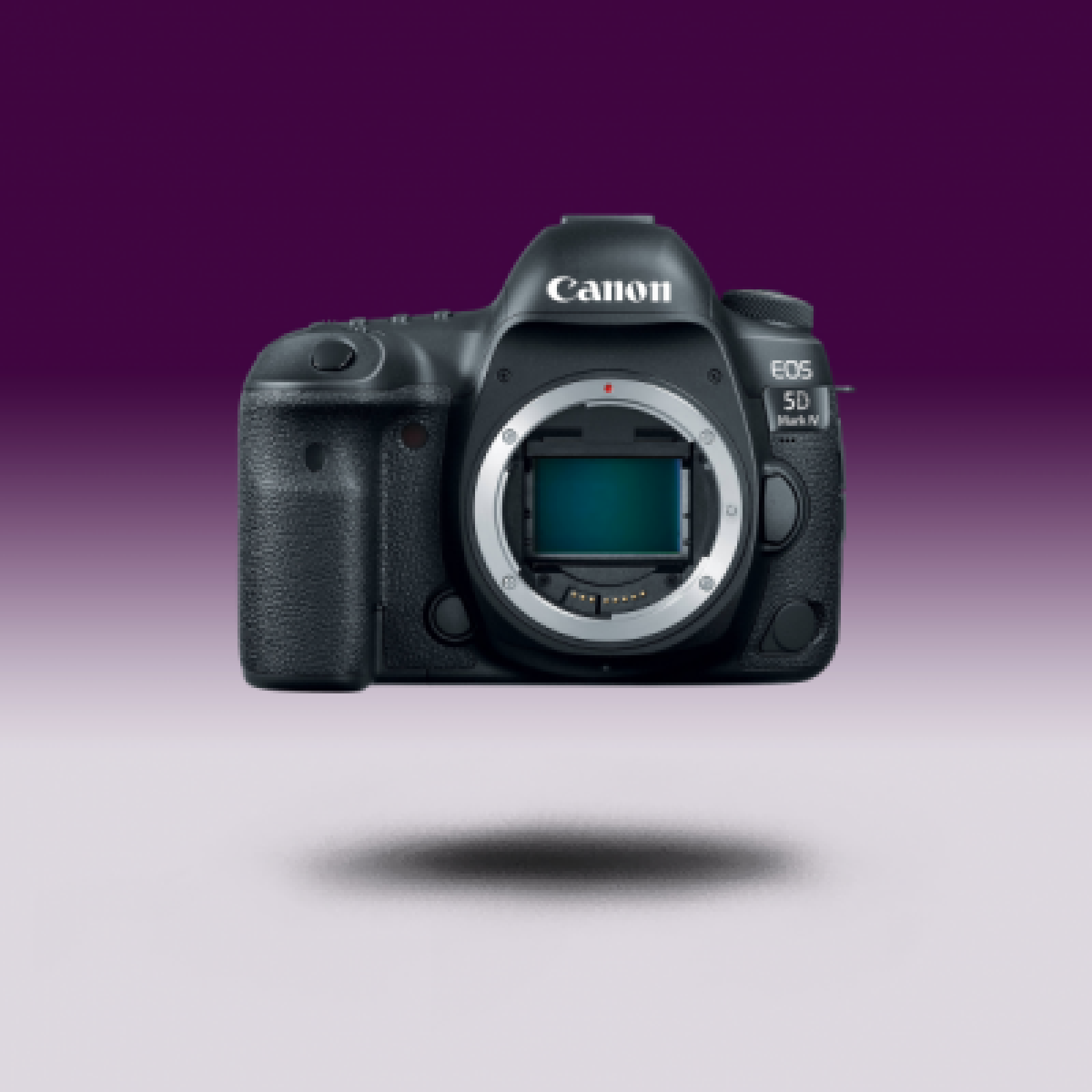 Canon 5D Mark IV - Photo 1 sur 1