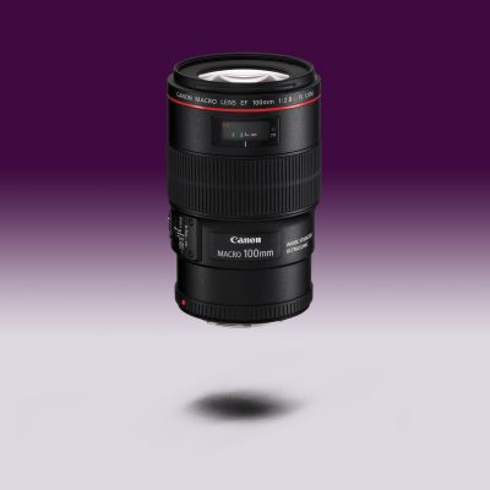 Canon L IS USM 100mm macro f2.8 - Photo 1 sur 1
