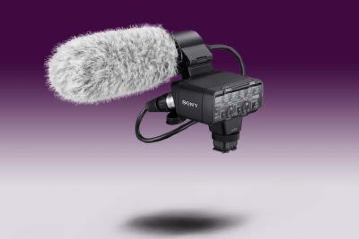 Location Module XLR KM2 - Lightyshare