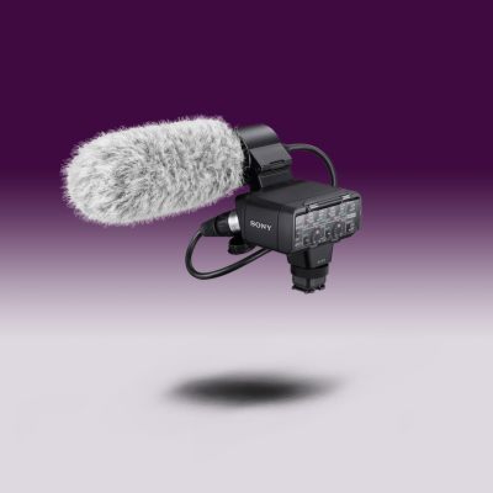 Module XLR KM2 - Photo 1 sur 1
