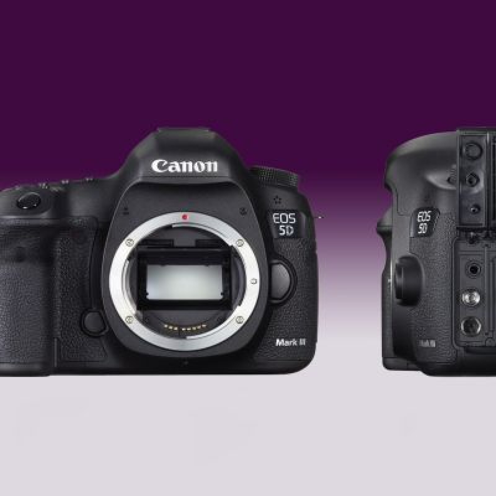 Canon 5D Mark III - Photo 1 sur 2