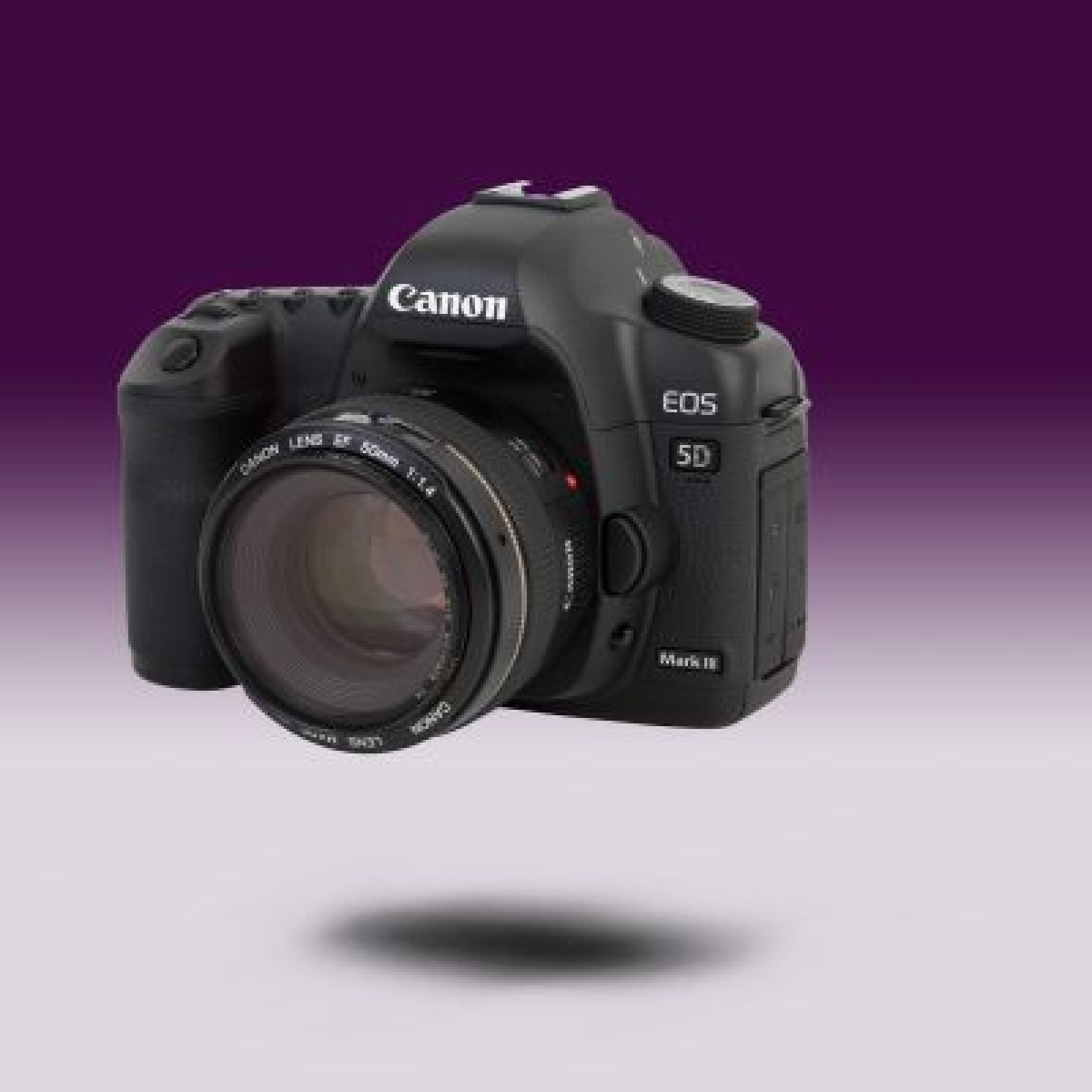 Canon 5D Mark III - Photo 2 sur 2