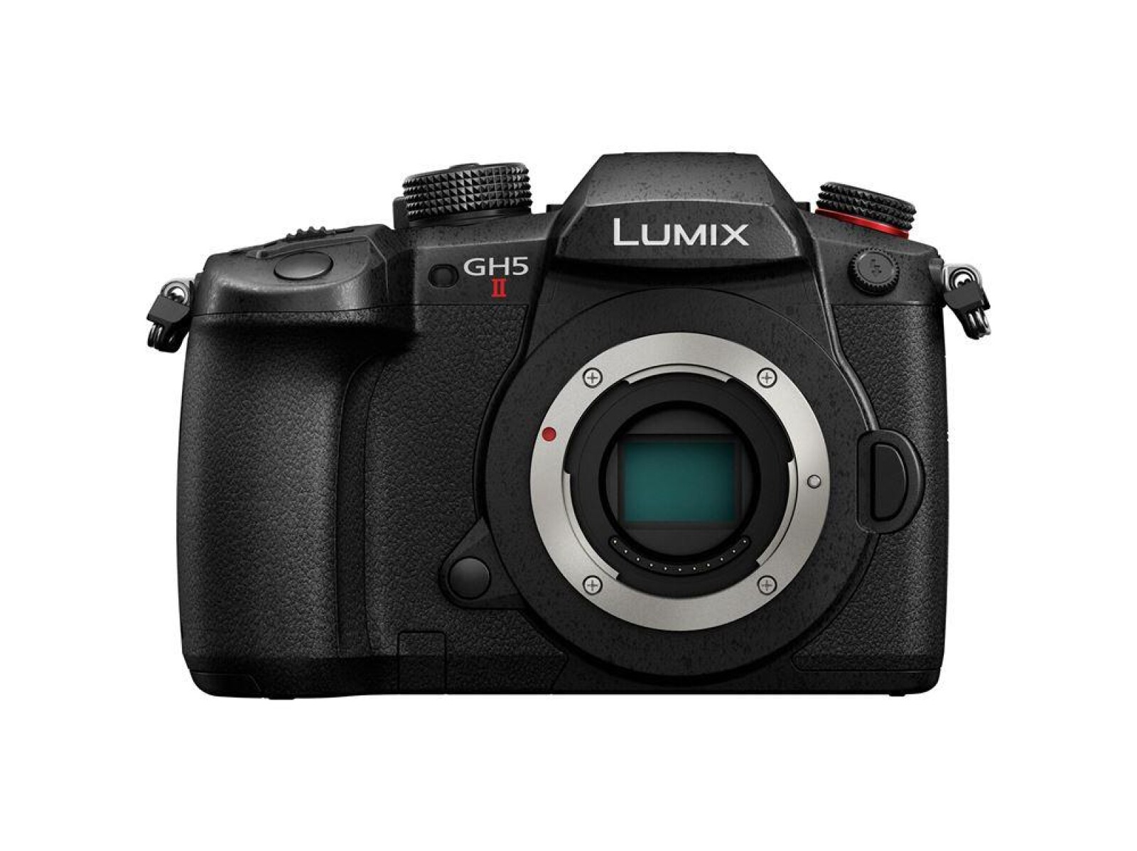 Panasonic LUMIX GH5 - Photo 2 sur 2