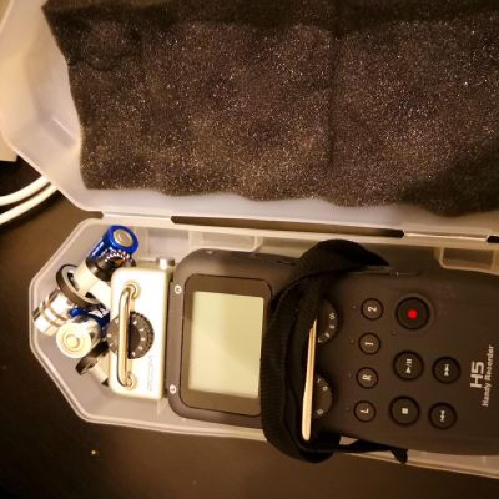 Zoom H5 - Photo 1 sur 2