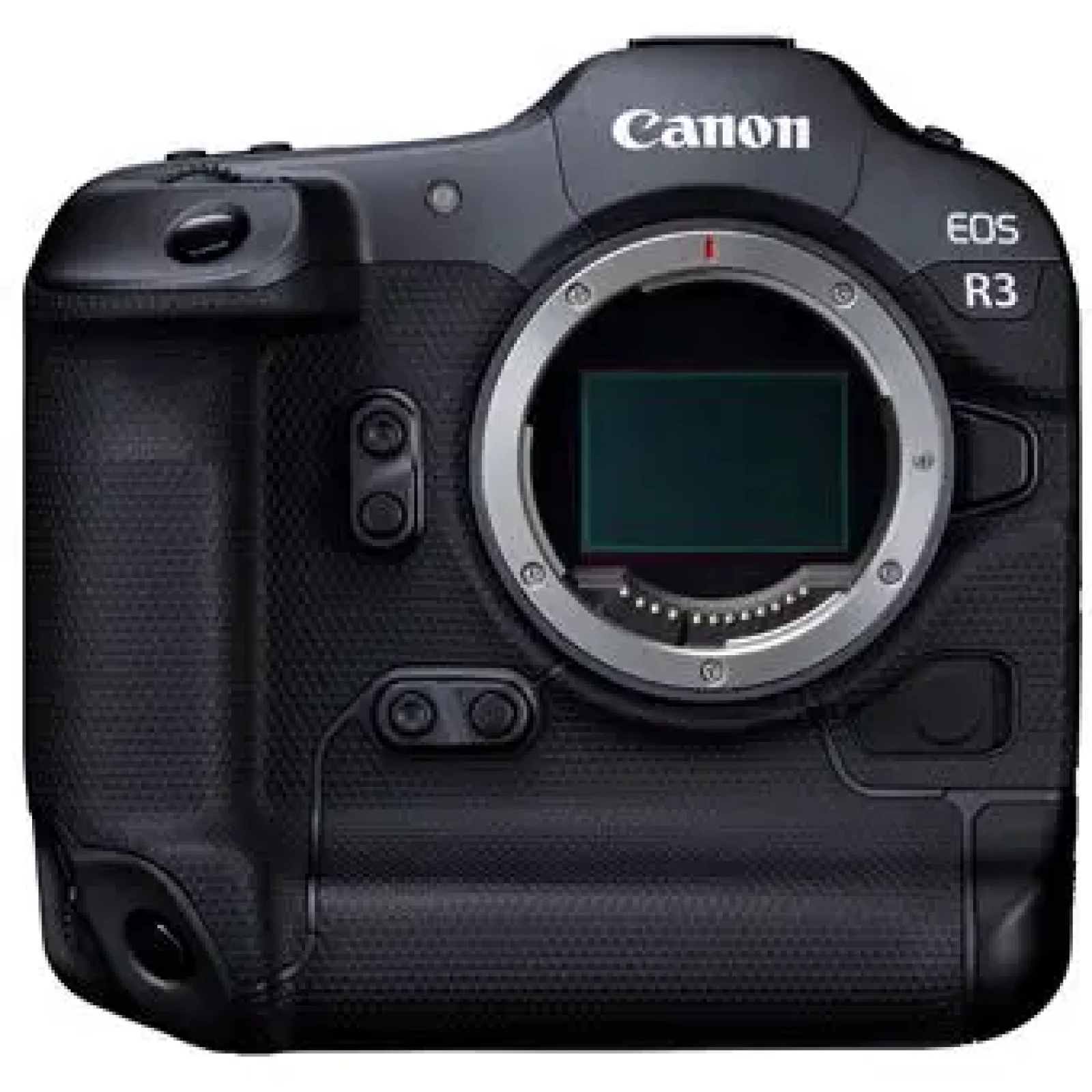 Canon R3 - Photo 1 sur 3