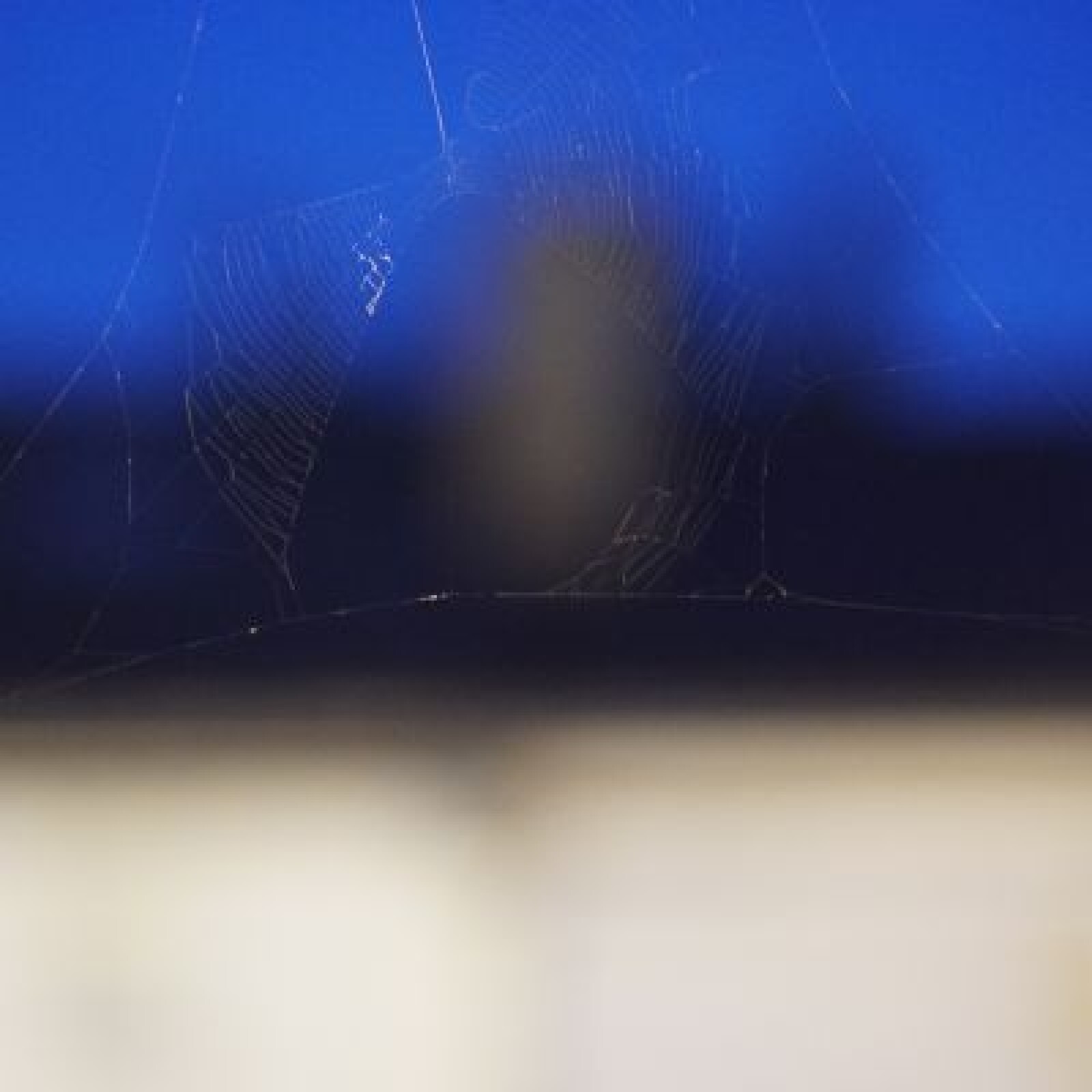 [OBJO - TELE - FF - NF] Samyang 85mm T1.5 AS IF UMC - Photo 3 sur 4