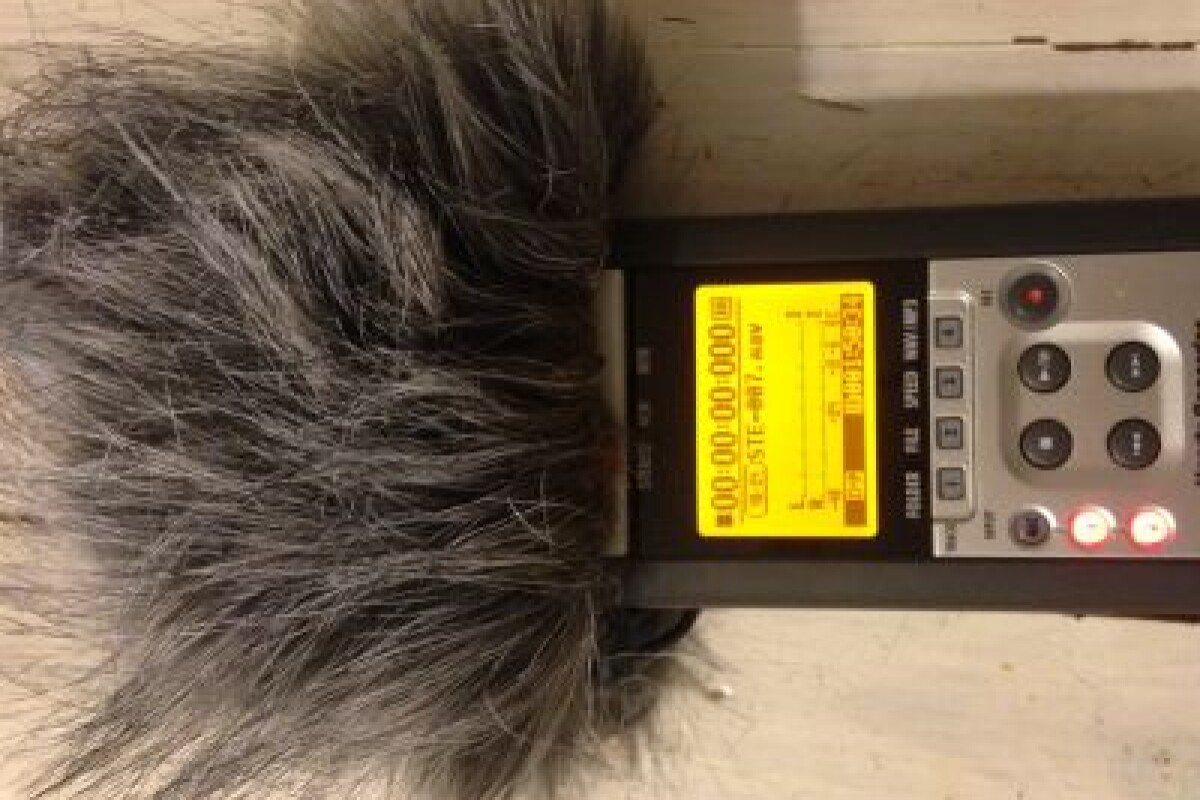 Location Zoom H4n - Lightyshare