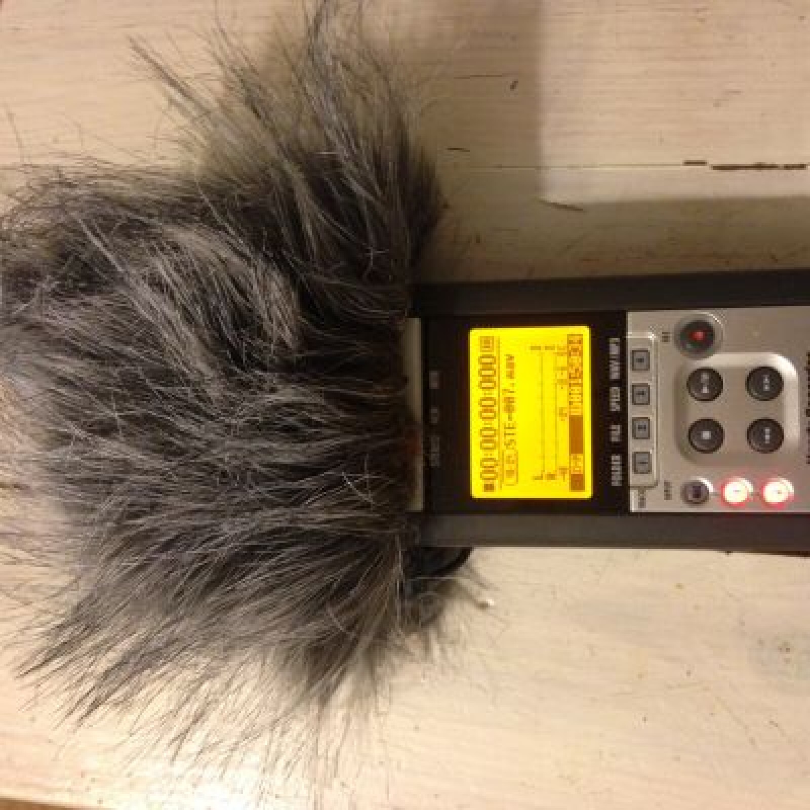 Zoom H4n - Photo 1 sur 2