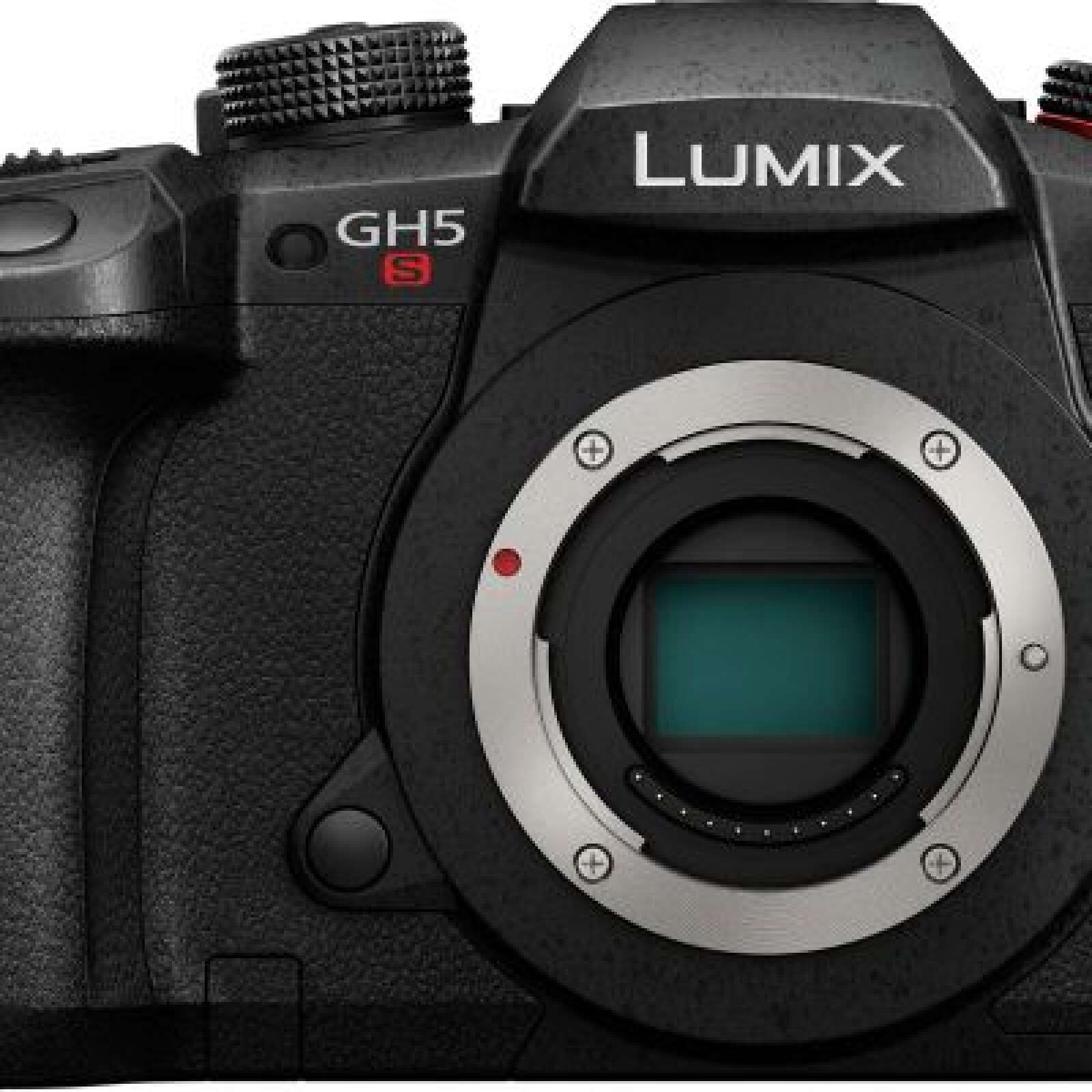 Panasonic gh5s + lumix 12-35mm  f2.8 - Photo 1 sur 4