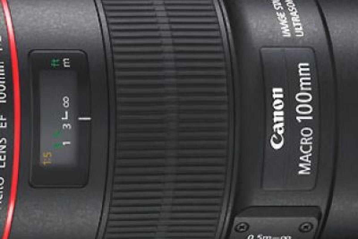 Location Canon EF 100mm f/2.8L Macro IS USM - Lightyshare