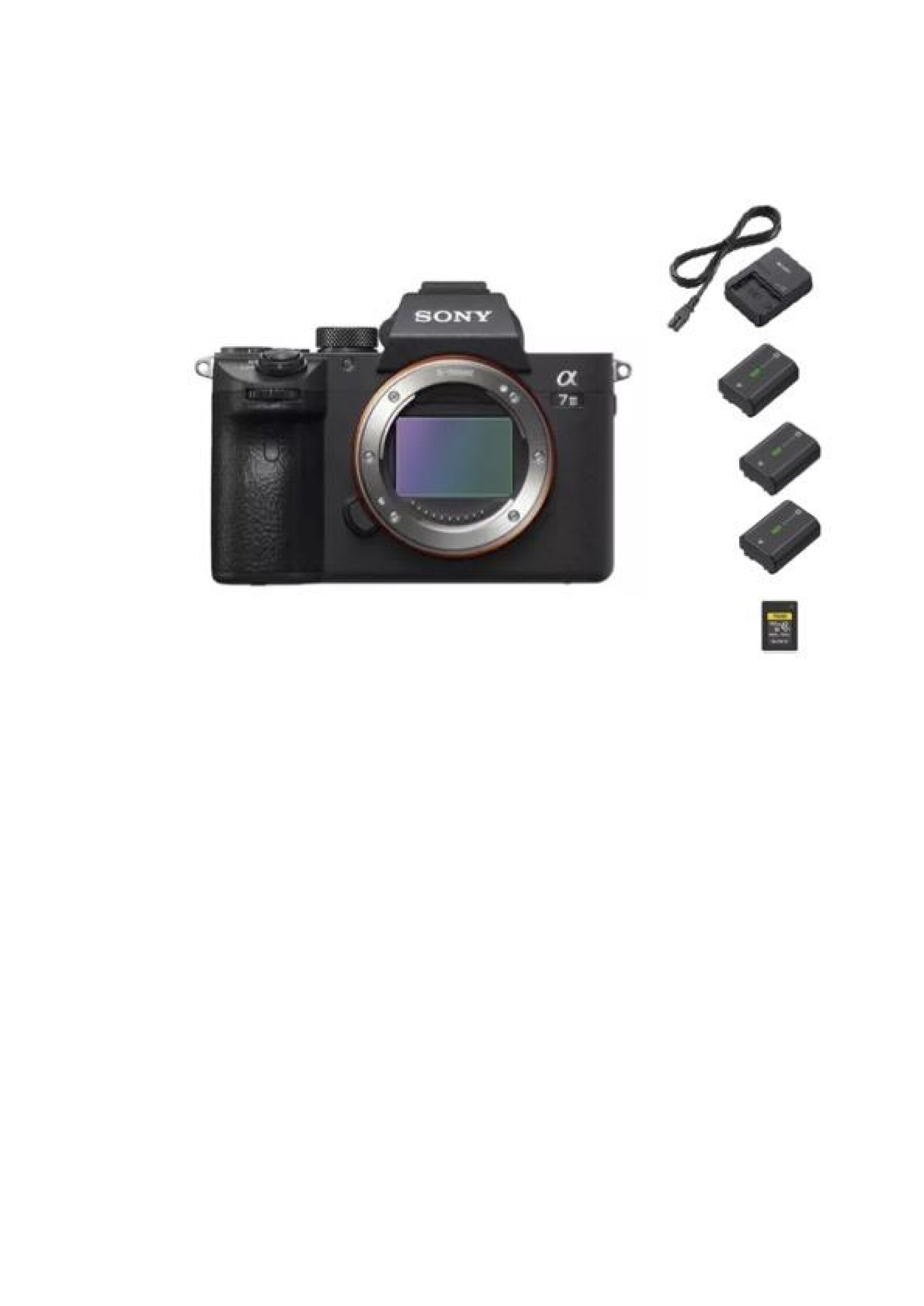 Sony Alpha 7s3 - Photo 1 sur 1