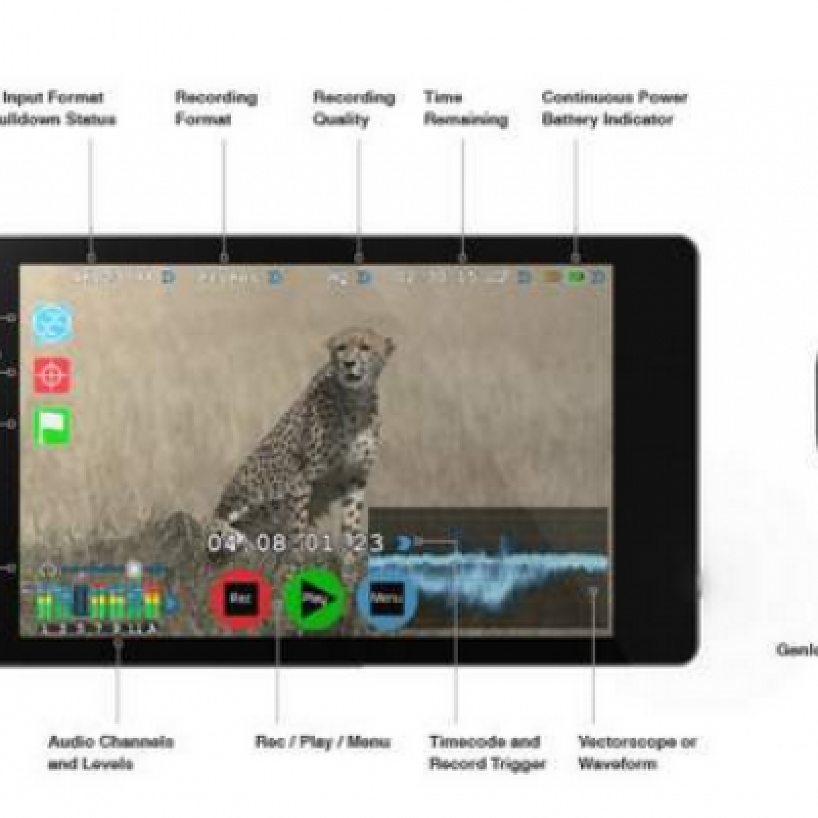 Location Atomos Shogun - Enregistreur 4K - Photo 2 sur 3
