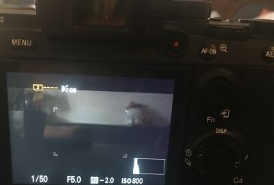 Location Pack Hybride Sony Alpha 7 III Full Frame 4K