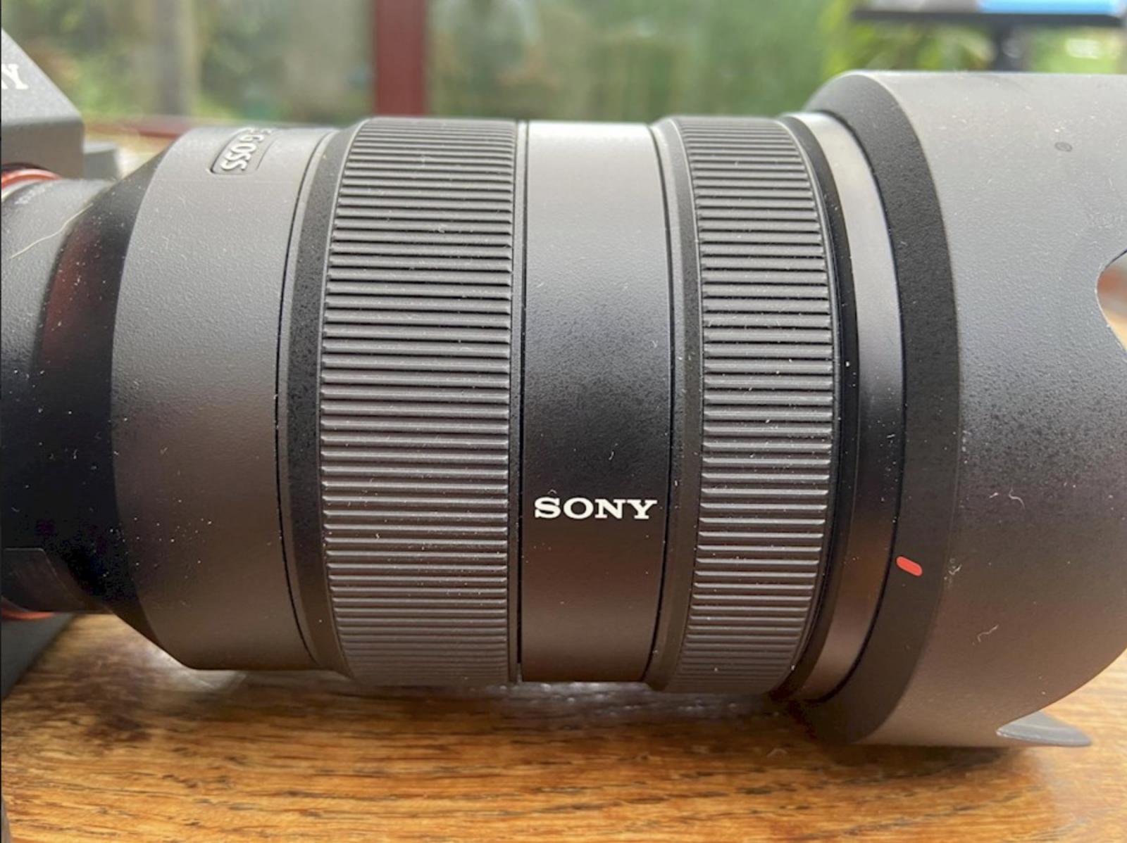 Sony Alpha 7III (A7III) + Sony Zeiss 24 - 105mm F4 - Photo 3 sur 4