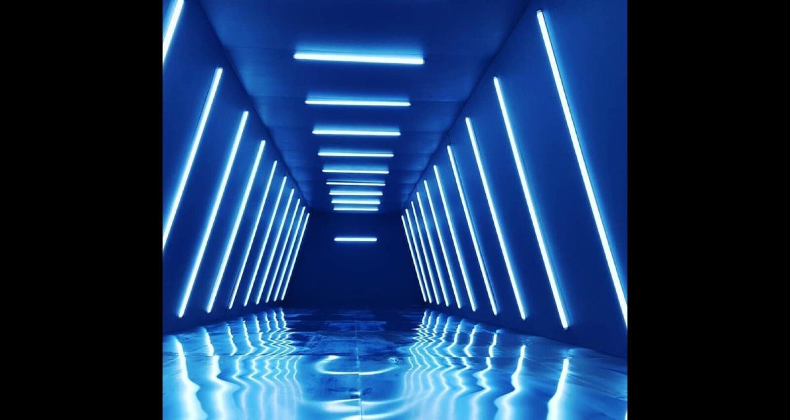 24 neons astera  - Photo 2 sur 3