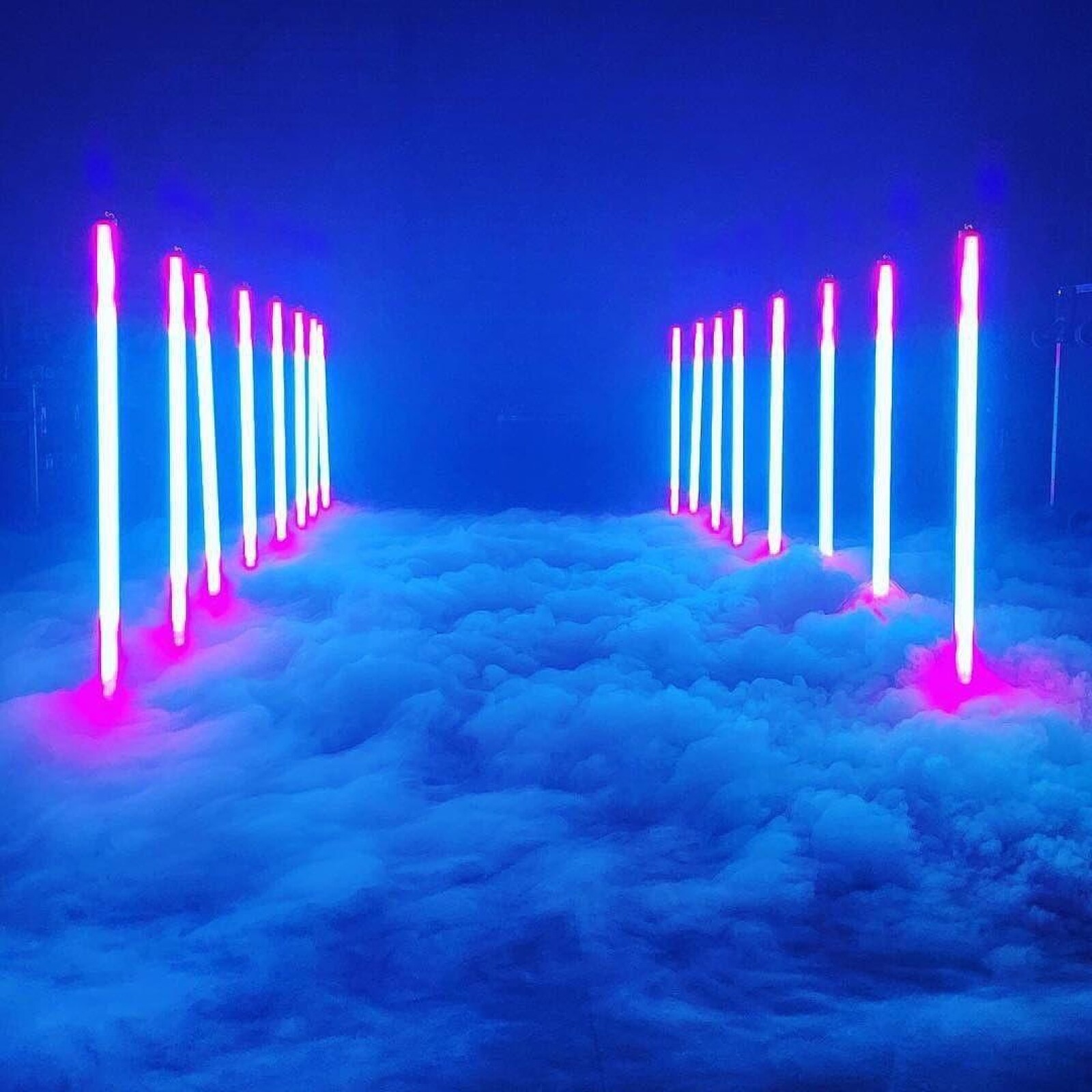 24 neons astera  - Photo 3 sur 3