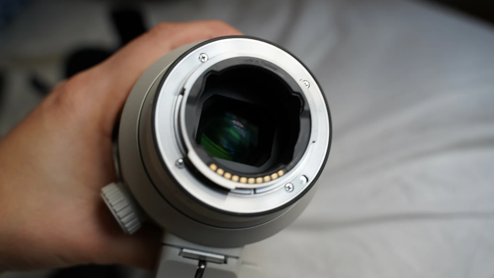 Sony 70-200mm f/2.8 GM OSS - Photo 3 sur 3