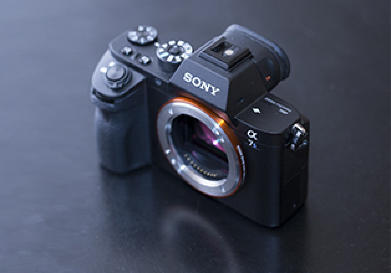 Sony Alpha 7S II (A7S2) - Photo 1 sur 1