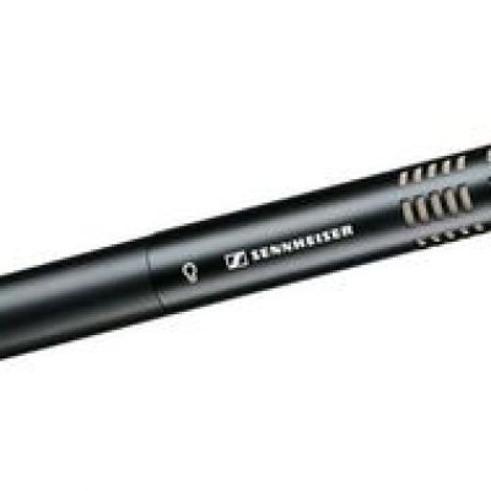 KIT SON INTERVIEW: Sennheiser ME 66+ Zoom H4N - Photo 1 sur 4