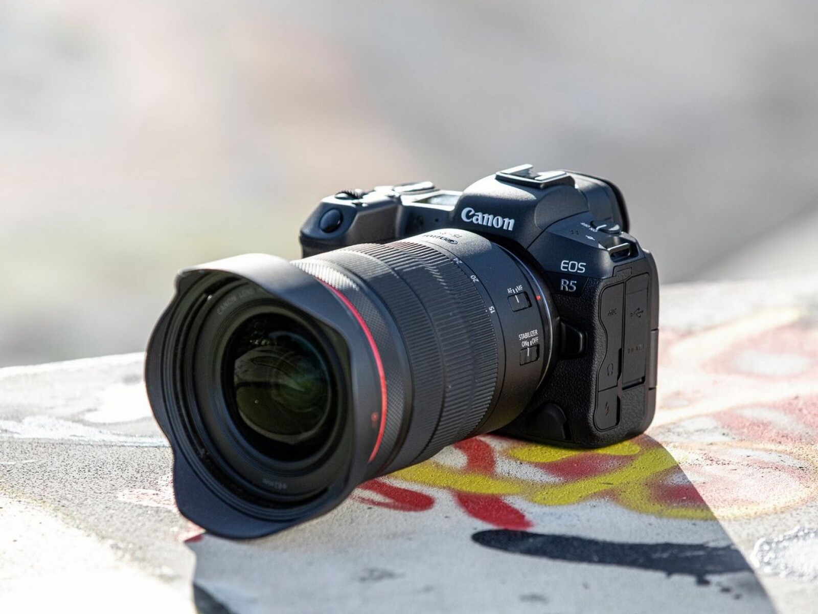 Canon EOS R5 - Photo 1 sur 1