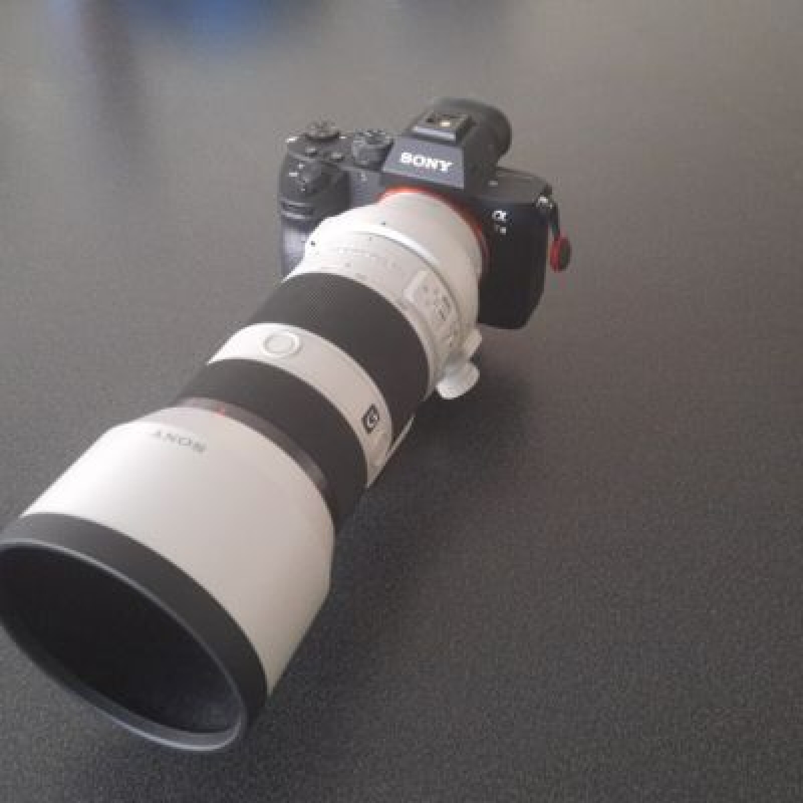 Sony A7 III + Sony 70 200 mm f4 - Photo 1 sur 3