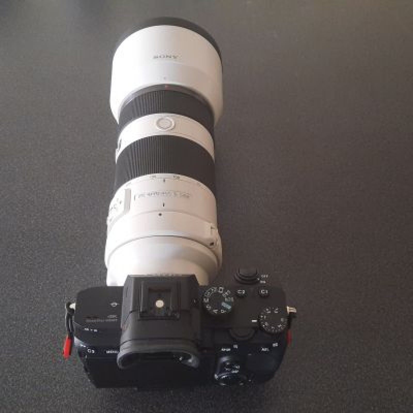 Sony A7 III + Sony 70 200 mm f4 - Photo 3 sur 3