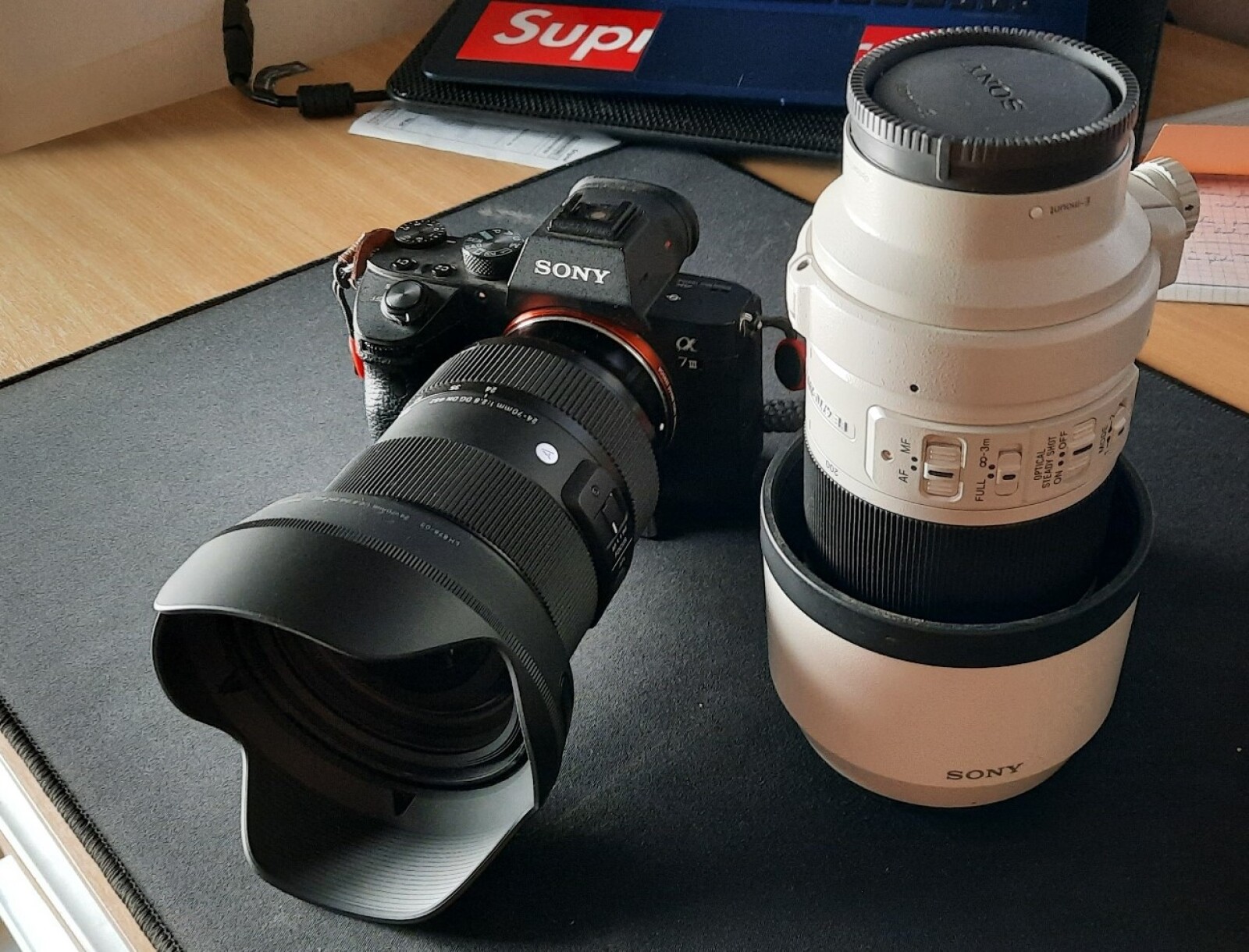 Sony A7 iii + Sigma 24 70 F2.8 + Sony 70 200 f4 - Photo 1 sur 2
