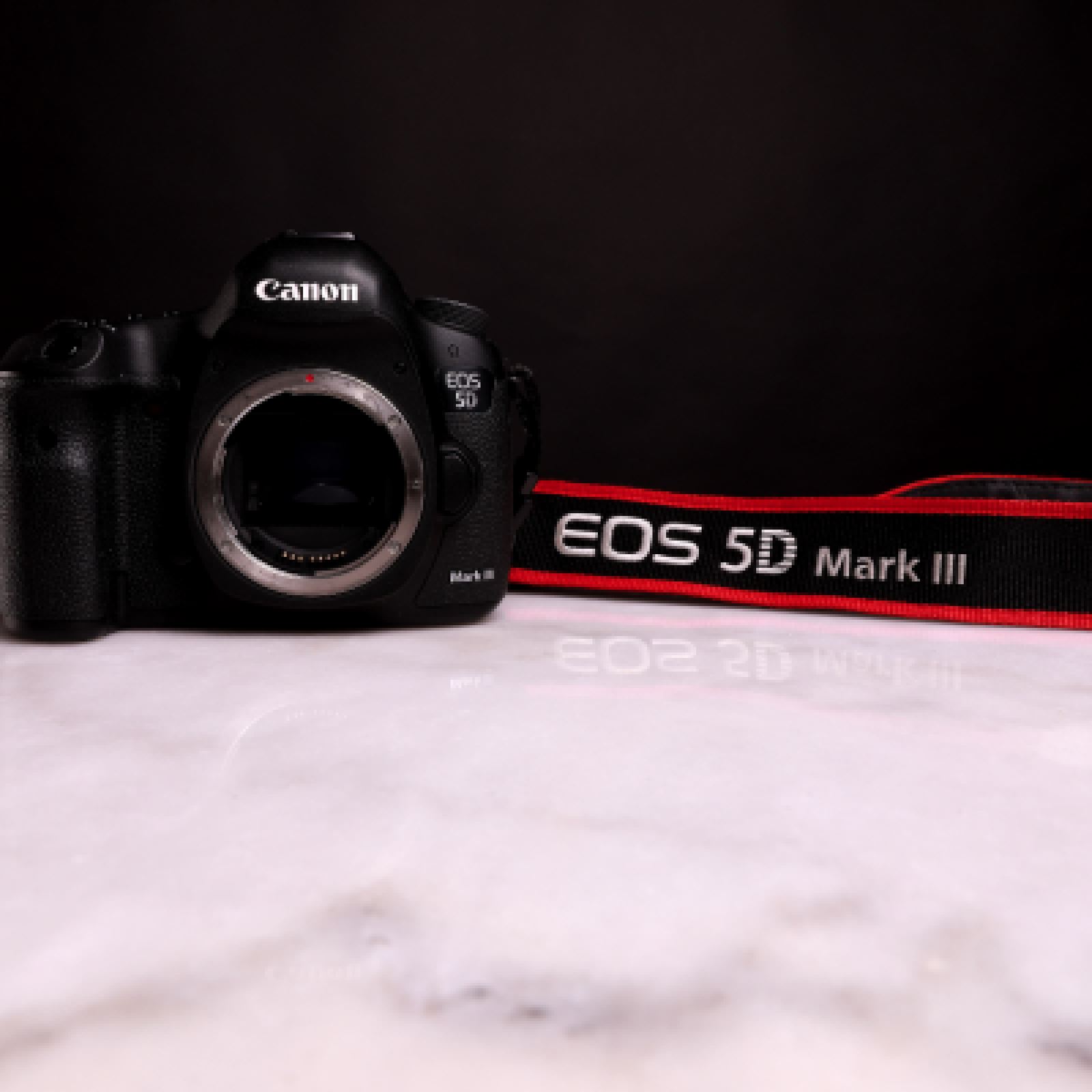 Canon 5D Mark III - Photo 3 sur 3