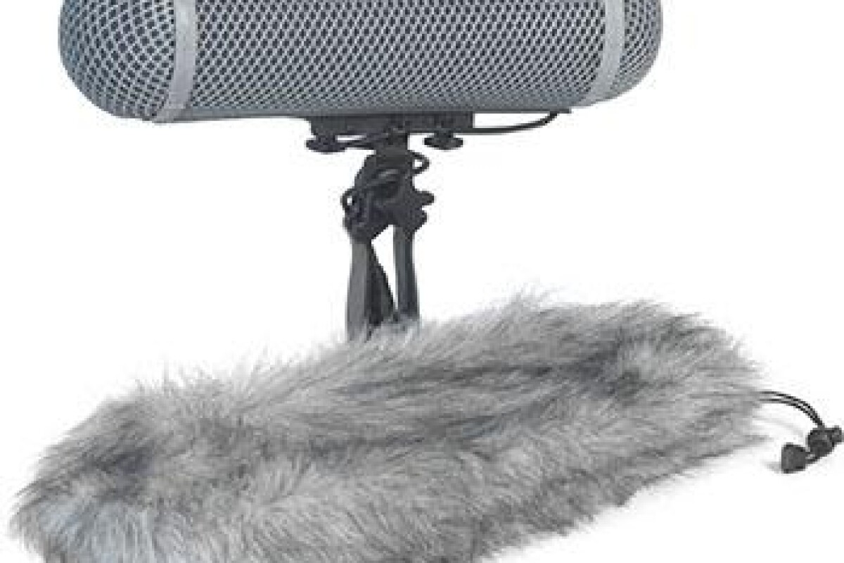 Location Kit micro perche sennheiser MKH 416 - Lightyshare
