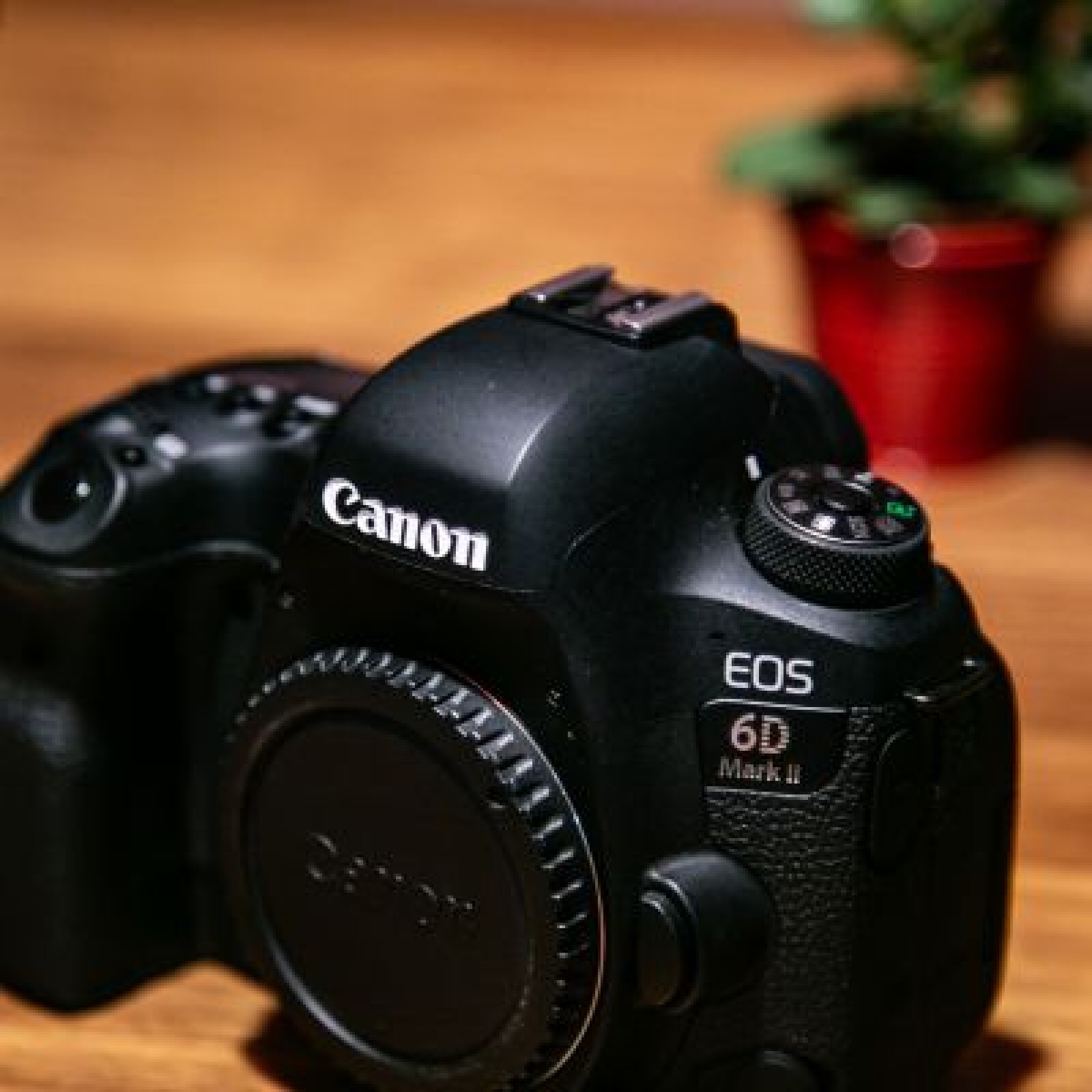 Canon 6D Mark II + accessoires - Photo 1 sur 3